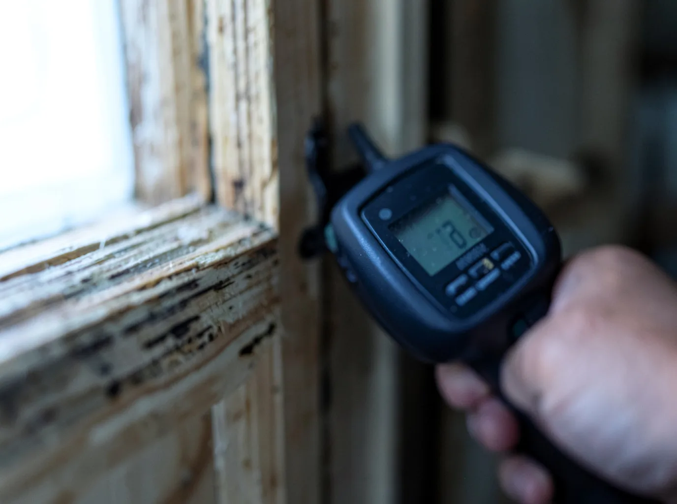 Moisture Inspection And Documentation in Dalhart, TX